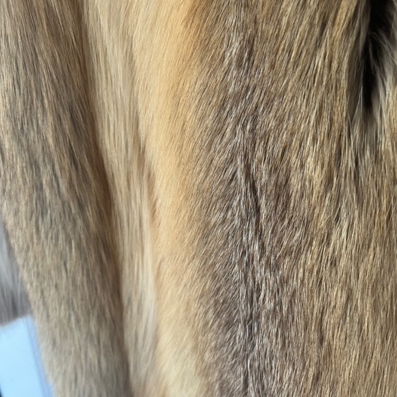 Beautiful Golden island fox coat - Picture 9 of 16